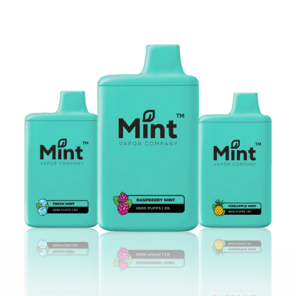 Mint by MNKE Bars Disposable 5%