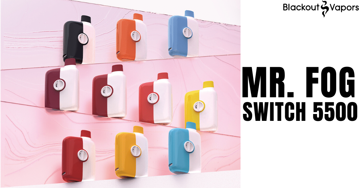 Mr. Fog Switch 5500 in 10 flavor
