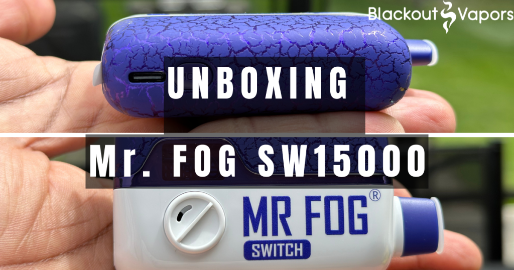 Mr. Fog SWITCH SW15000 in hand