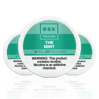 BSX Nicotine Pouches - The Mint