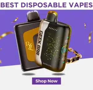 Bulk Disposable Vapes
